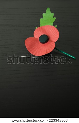 Veteran\'s Memorial Poppies