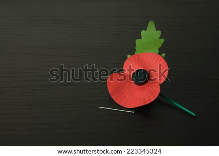 Veteran\'s Memorial Poppies