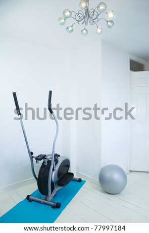 Home Gym with Exercise mat,rubber gym ball and Elliptical trainer