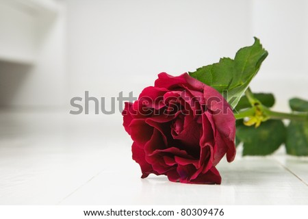 Single Red rose on white wooden floorboards