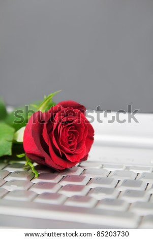 A red Rose on a laptop computer