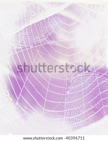 Spider web backgrounds on violet