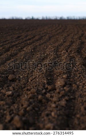 Plowed land on arable land