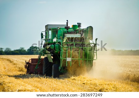Green combine harvests on a wheat field with a blue sky. Green tractor harvests on the field in sunny summer day.