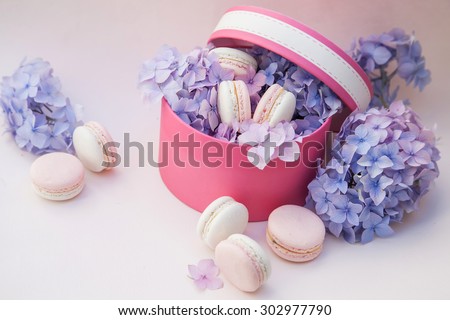 Pastel color macaron in a present box with hydrangea flower