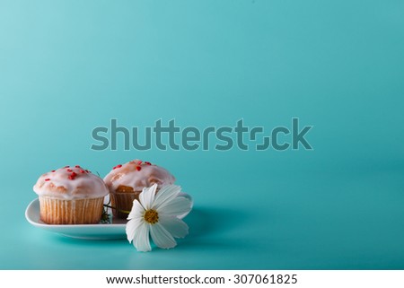 Colorful muffin on saucer with flower. Aqua color plain background