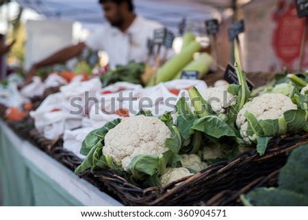 DUBAI, UNITED ARAB EMIRATES, JAN 9, 2016: People Visiting Weekend Ripe Market in Al Barsha Pond Park.