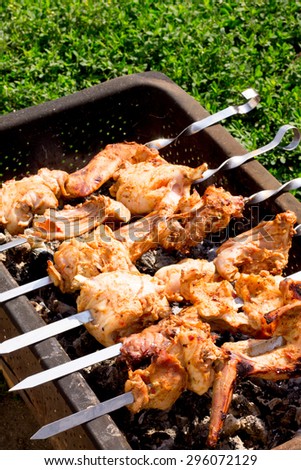 Skewers of meat on the grill Rabbit