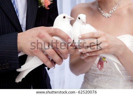 Two White Doves