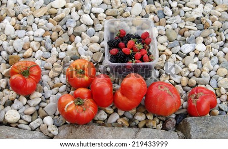 Tomatoes. raspberries, blackberies on gravel