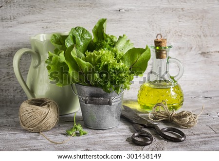 fresh herb garden in a metal bucket, olive oil in glass bottle, old vintage scissors and a jug on a light wooden background