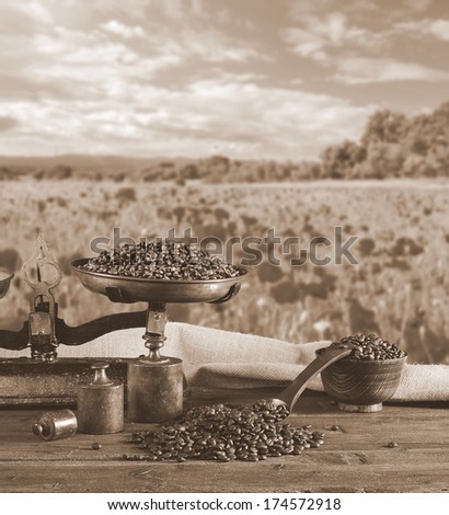 Coffee with scale and coffee beans bag in poppy field.