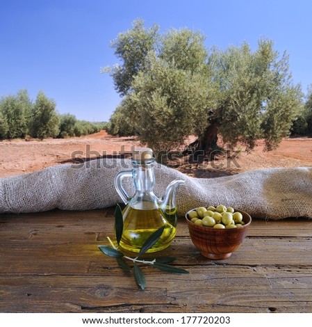 Olive oil on a table in the olive grove.