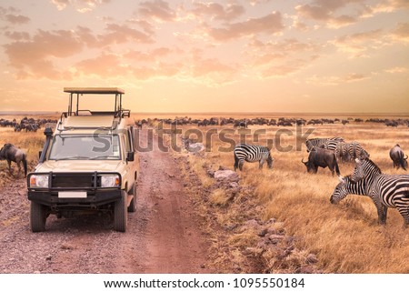 A game drive safari into the wildness animal in Serengeti National Park,Tanzania.