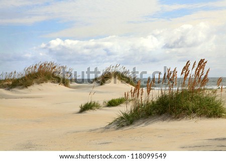 Sand Dunes on the Outer Banks of North Carolina