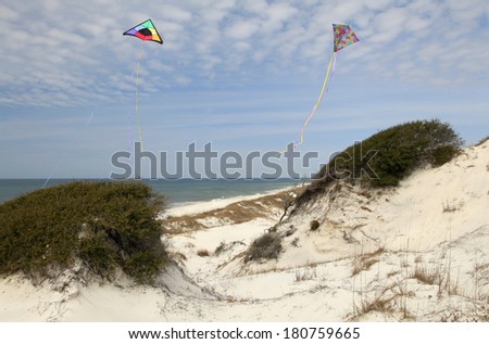 Colorful Kites Flying Over the Sand Dunes