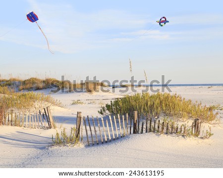 Kites Flying Over a Beautiful White Sand Beach