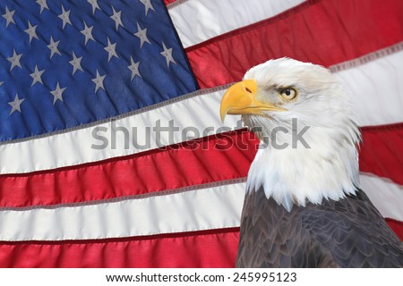 A Backlit American Flag and Bald Eagle in Foreground