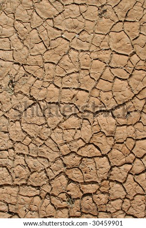Death Valley Dried Mud Background