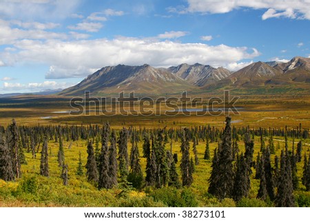 Alaskan Mountains & Tundra in the Fall
