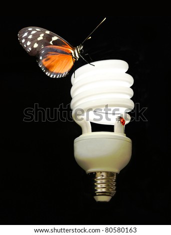 Lit CFL Light Bulb with Butterfly and Ladybug, eco-friendly