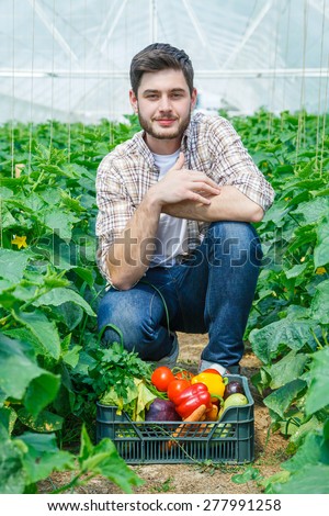 Young handsome man presenting vegetables in a greenhouse