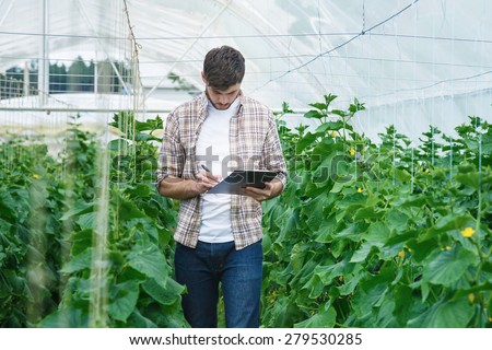 Guy with the tablet slowly inspect plants. Young agronomists monitor the harvest. Young farmers are grown and harvested organic vegetables.