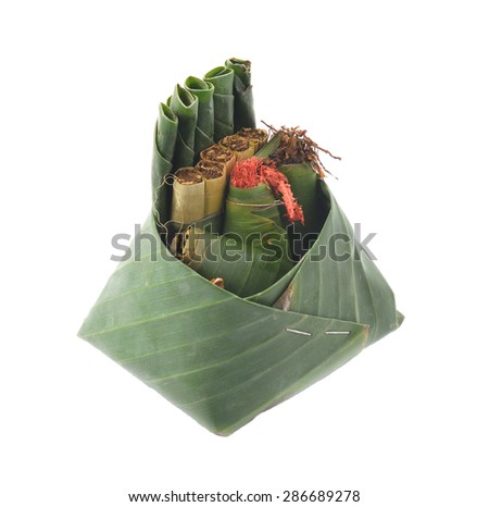 Betel leaf betel palm edible eating culture of thailand