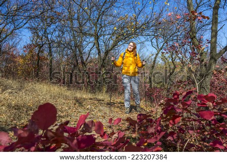 Hiking at autumn forest. Bright yellow and red colors of autumn forest and female hiker with trekking poles and dressed in orange down jacket