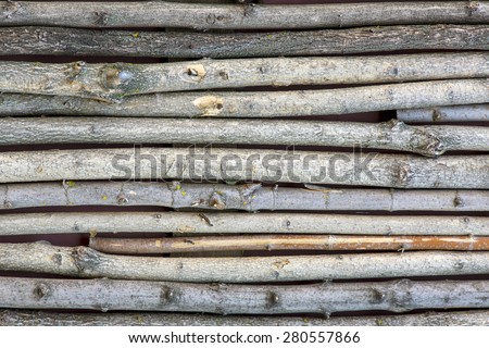 Paling made of many tree trunks of variety wood type. Unusual palisade consisting of trunks and branches of different sort of trees natural background vivid colors