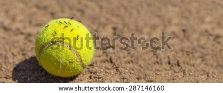 Flock of ants sticking round tennis ball.\
Many insects crawling on surface of yellow tennis located on brown clay court