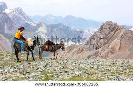 Donkey caravan in remote Asian mountain area. Fan Mountains, Alaudin pass, Tajikistan, Middle Asia, July 16, 2015