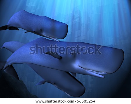 sperm whale cartoon. DEPTHS - A sperm whale pod