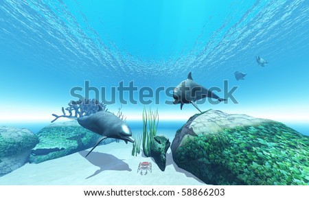 THE GETAWAY - Two Bottlenose dolphins take an interest in a crab while two Butterfly fish make their getaway.