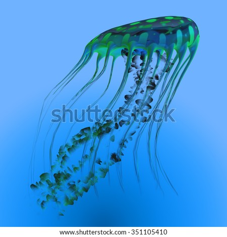 Green Blue Jellyfish - The jellyfish is a predator of the oceans and feeds on small fish and zooplankton.