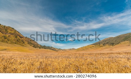 Grass landscape\
Savanna landscape