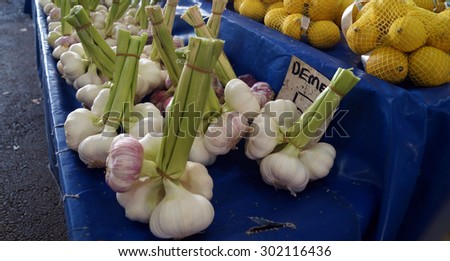Garlic in bunches on the counter for sale