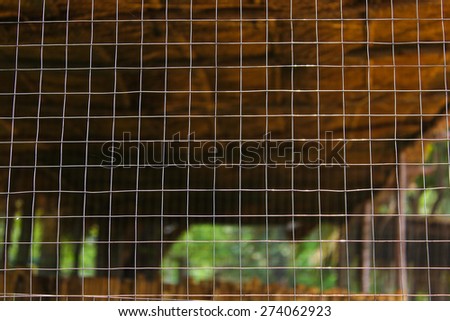 Close up animal cage