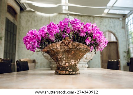 flower in old vase