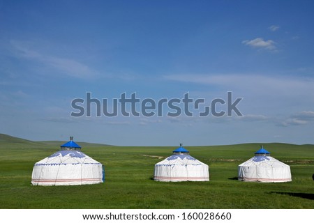 Inner Mongolia Hulunbeier gold \