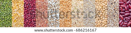Various kinds of natural grains and cereals, consisted of green bean, soybean, red bean, rice seed, wheat, and millet, for food raw material and agricultural product concept