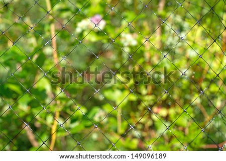 A black protective plastic netting against birds and animals in the foreground with blurred blueberry bushes in the background.
