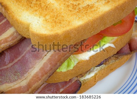 A very close view of a bacon lettuce and tomato sandwich on white bread.