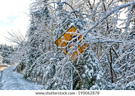 A curve road sign behind several ice covered branches after an ice storm.
