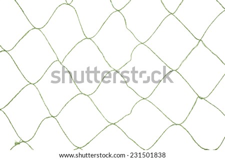 A large opening green fishnet on a white background.