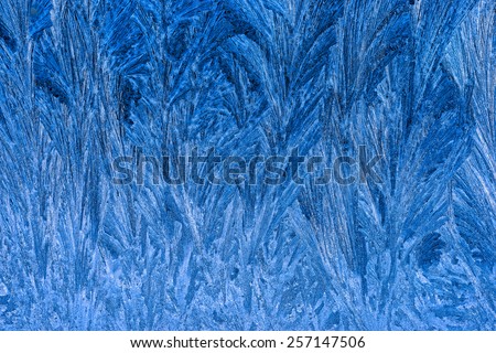 Close view of the ice crystals on a window suffused with a dark blue morning light.
