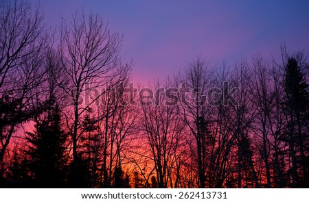 Red sky in the morning, sailors warning.  A deep red cloudy sky at dawn behind tree line in the foreground.