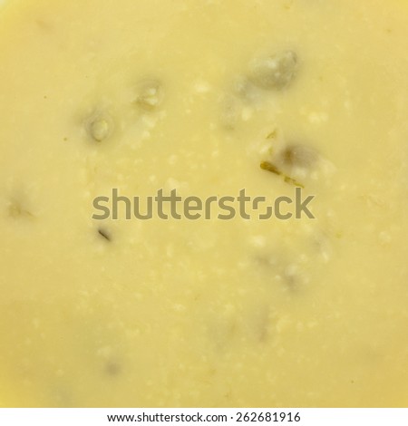 A very close view of cream of celery soup with celery floating on the thick liquid.