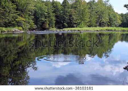 The peaceful Sebasticook river in Pittsfield Maine with a water ring from a fish sounding.