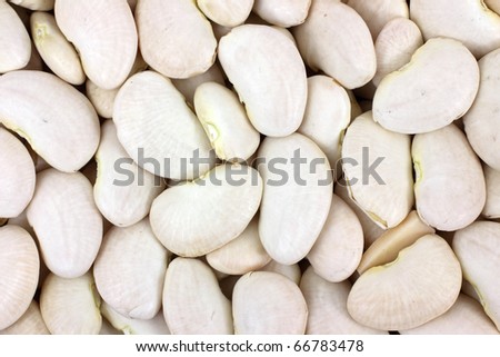 A very close view of large lima beans.